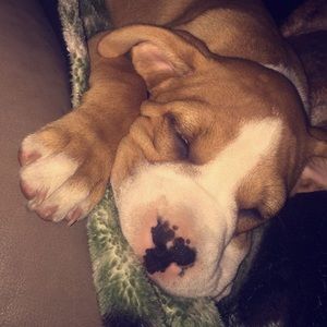 Meet your Posher, Cassandra